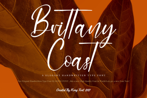 Brittany Coast Font for Business Branding