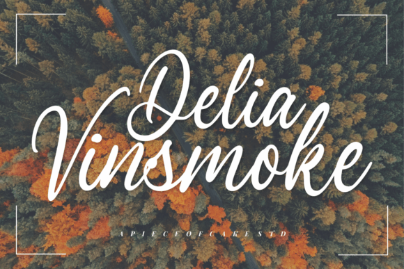 Delia Vinsmoke Font Review