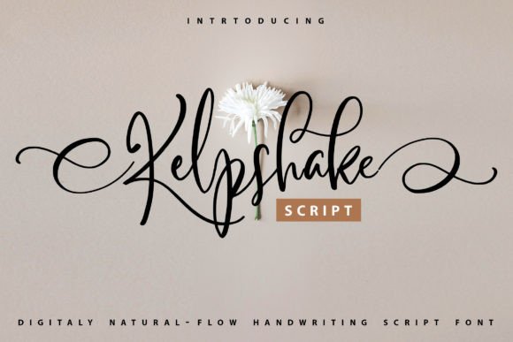 Kelpshake Font for Creative Projects