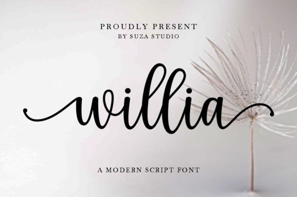 Willia: A Magical Script Font