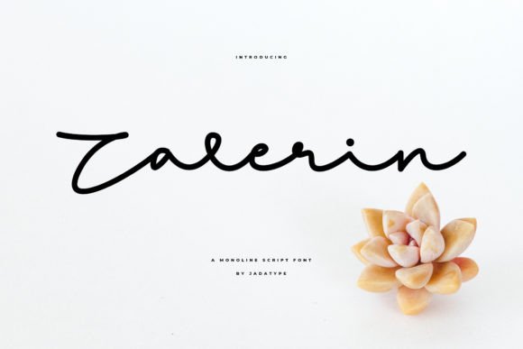 Zalerin Font for Elegant Design